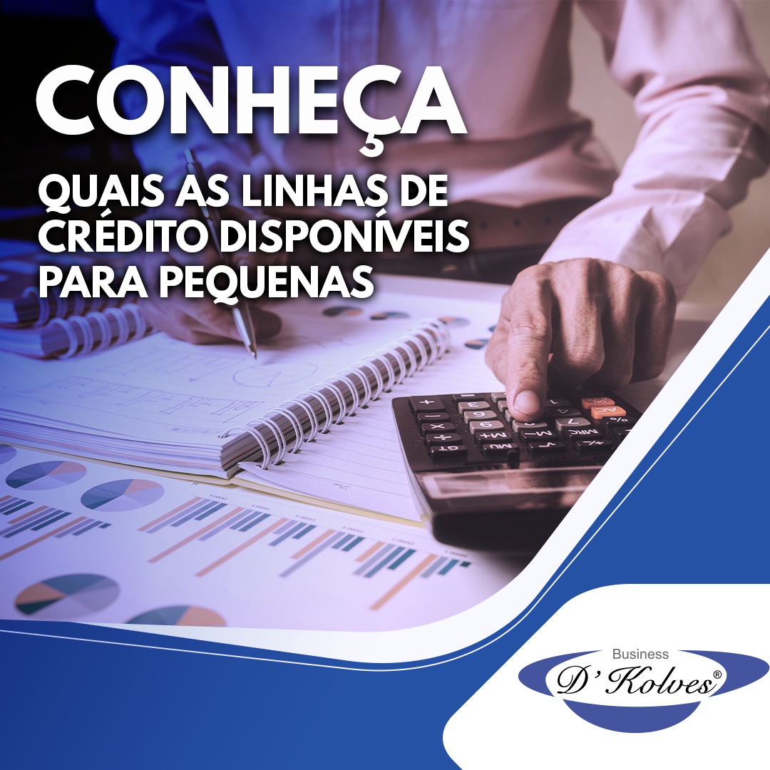 Imagem de Clientes VOCÊ SABE QUAIS LINHAS DE CRÉDITO DISPONLÍVEIS PARA PEQUENAS EMPRESAS?